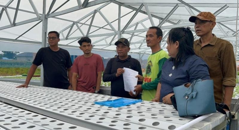 Yayasan Binar Bersama Hirasma Gandeng Petani Hidroponik Sukseskan Makan bergizi Gratis di Medan
